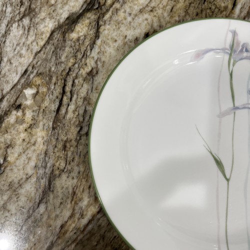 Juego de 5 platos de postre para ensalada Corelle Vitrelle patrón de iris sombra 7 1/4” 🇺🇸 - Imagen 9 de 24