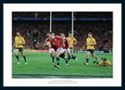 Rugby Union British Lions Photographs