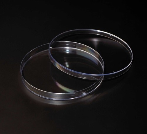 CELLTREAT 150mm x 15mm Petri Dish 100/Case, Sterile, #229656 - Picture 2 of 2