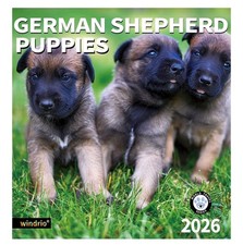 New 2026 Wall Calendar German Shepherd Puppies Nov 2025  Dec 2026, 12" x 24"
