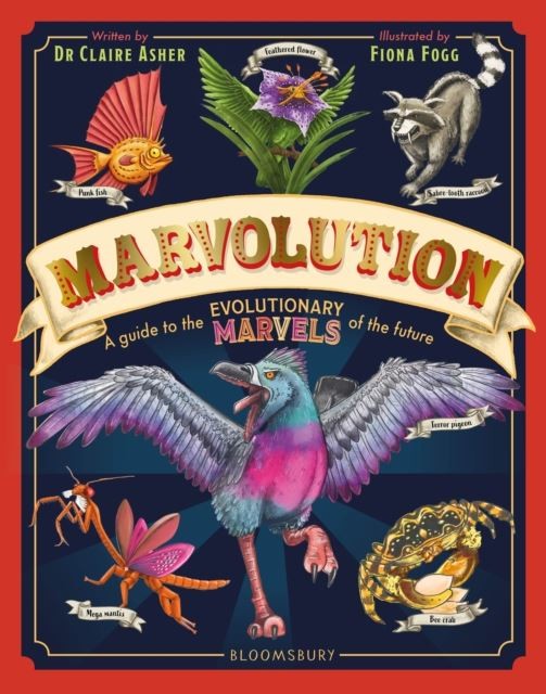 Marvolution by Dr Claire Asher Hardback