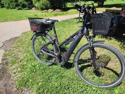 Damen E-Bike Pegasus Premium, Modell Solero BJ.2022