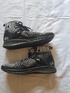 puma ignite evoknit price in south africa