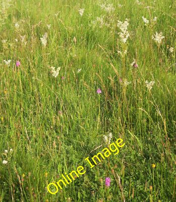 Photo 6x4 Flowers on Pigeon Hill Homington By footpath CBIS20. The most p c2014
