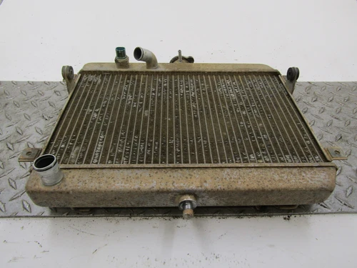 RADIATOR ASSY, WATER