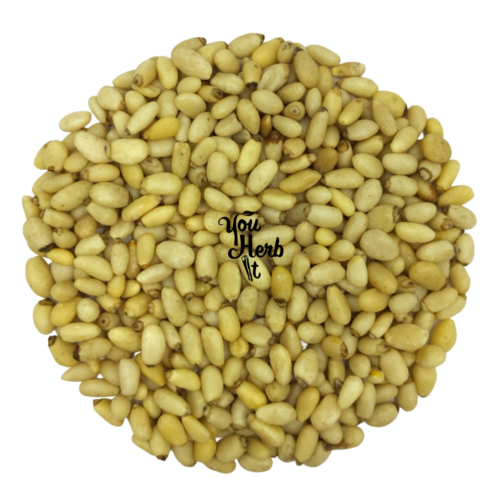 Pine Nuts Whole Natural Kernels 300g-1.95kg - Pinus Gerardiana - Picture 1 of 3