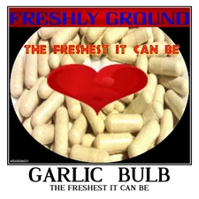 GARLIC BULB Only Fresh Ground The Freshest it Can Be 100 V Capsules 595 mg