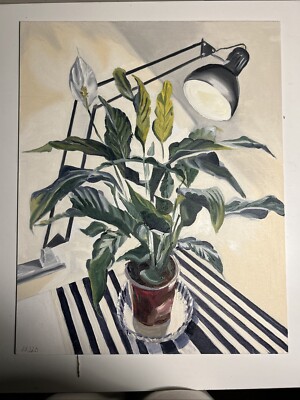 Friedenslilie 40x50cm