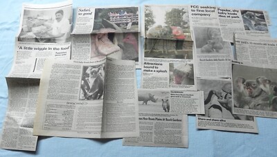 Busch Gardens Newspaper Clippings from the 1990s and 2000s RARE Lot #2