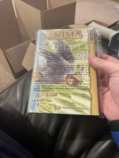 2008 +Anima, Vol. 10