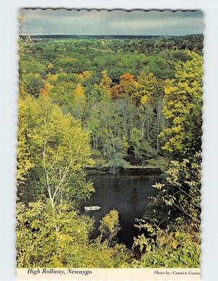 #ad Postcard High Rollway Newaygo Muskegon River Michigan USA $9.99