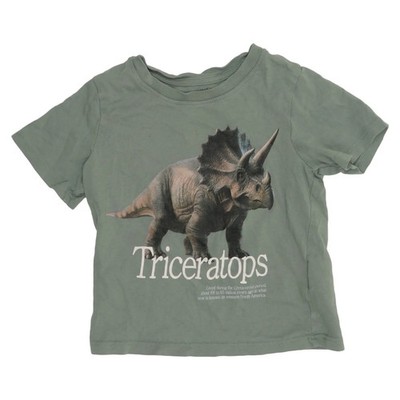 H&M, T-shirt, Größe: 92, Grün, Baumwolle, Print, Unisex (Kinder) #iFI