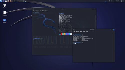 Kali Linux USB 2024.4 +ENCRYPTED Persistence NukeKey-256GB Portable Hacking Key - Foto 2 di 5