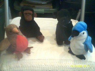Vtg. Ty Beanie Babies Early Rocket Congo Luke Tush Tags ONLY LOT "B"