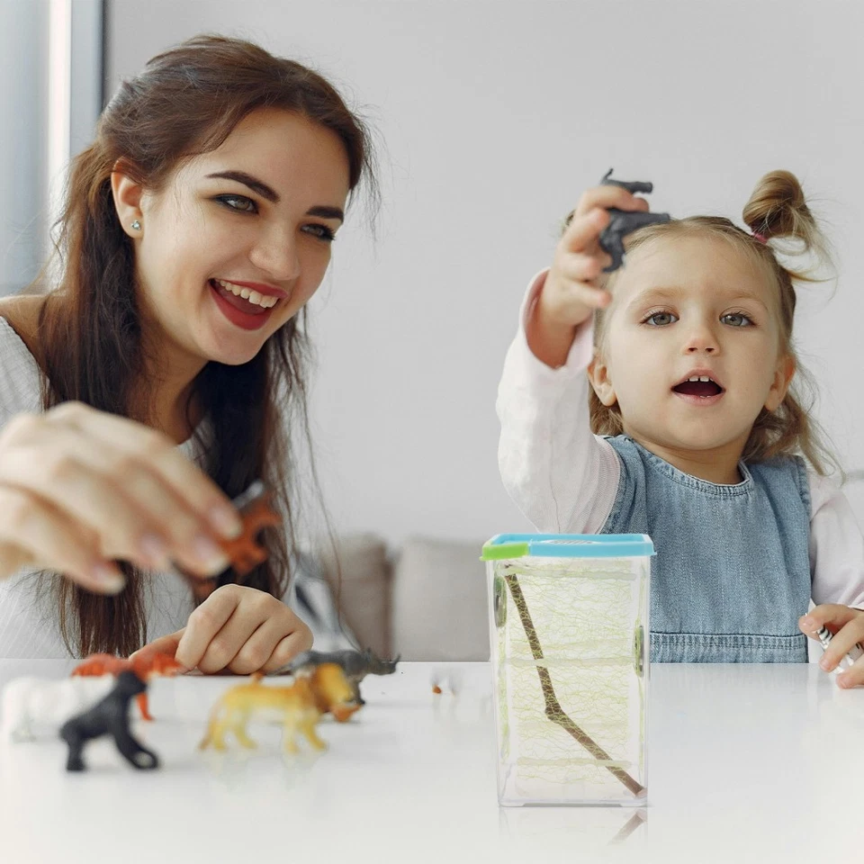  Boîte Escargot Boite Pour Réservoir De Tortue Grattoir À Aquarium - Photo 4/4
