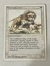 Magic the Gathering MTG 1x Savannah Lions - REVISED - 3rd Edition - 1994!
