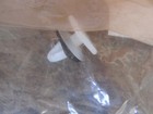 Foto 2 di 2