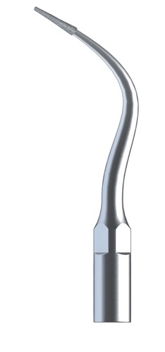 Lot De 5 Embouts Dentaires Diamant Endodontie P4D - Compatibles EMS/WOODPECKER - Pour Pièce à Main