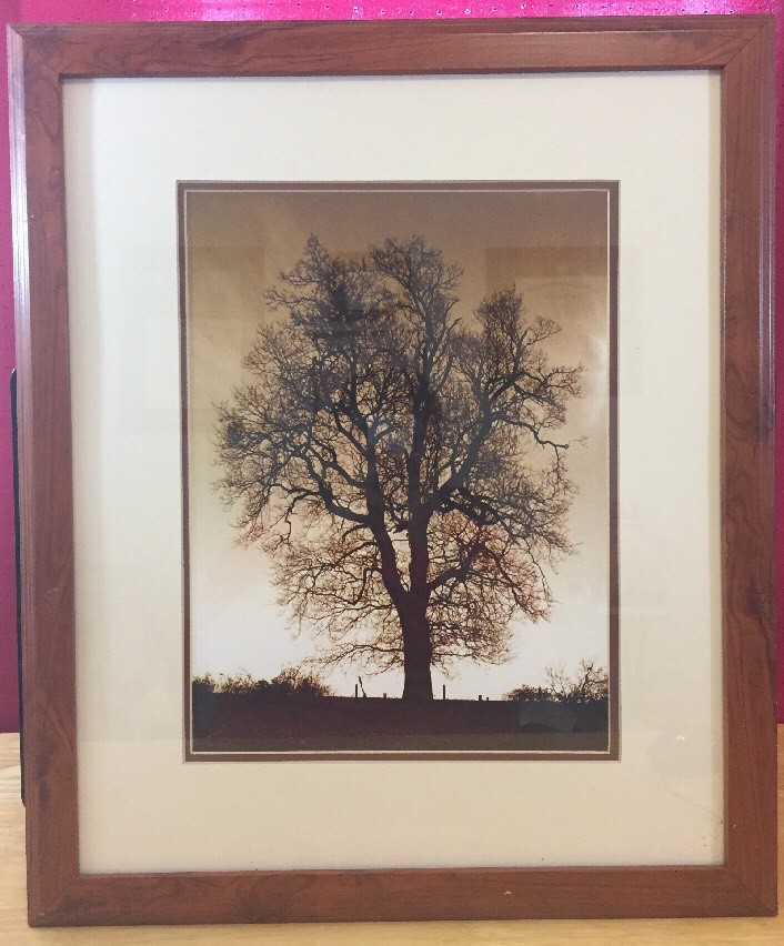 Foto 1 di 6