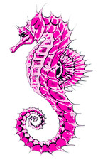 Pink Seahorse Sticker Decal