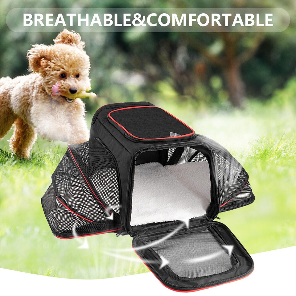 Cat Travel Outdoor Bag Expandable Collapsible Carrier Bag Pet Supplies