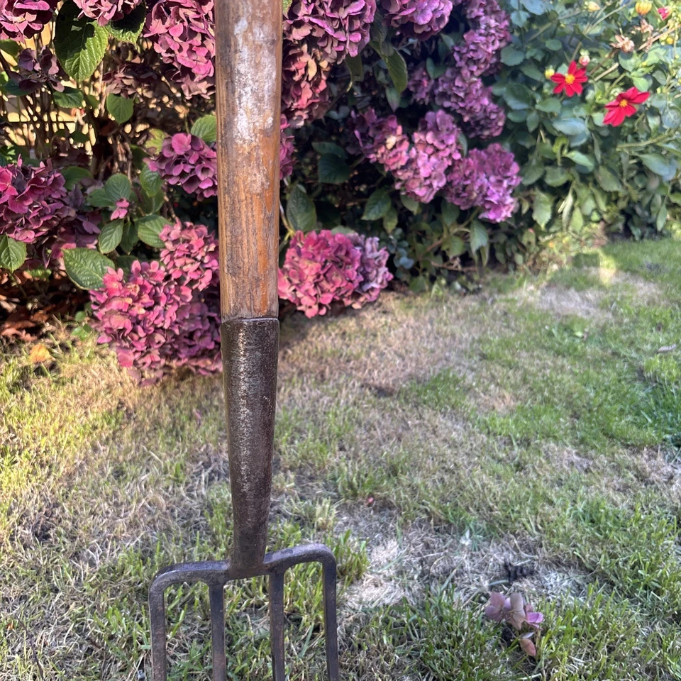 Horquilla de borde de jardinería Foto 3 de 4