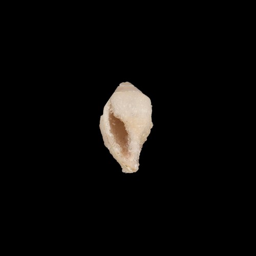 Elegant Natural Shell Druzy Gemstone DIY Bail Connector - Picture 12 of 14