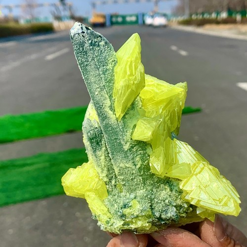 357G New Find Green Phantom Quartz with Yellow sulfur Cluster Mineral Specimen - 第 5/23 張圖片