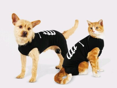 New Target Matching Family Dog Pet Halloween SKELETON