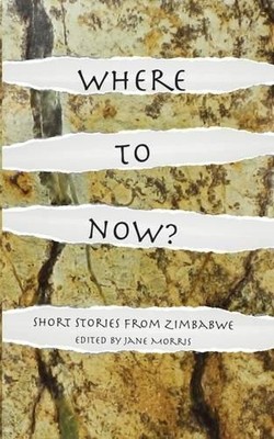 Jane Morris Where to Now? (Taschenbuch)