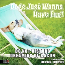 Dogs Just Wanna Have Fun! 2026 Wall Calendar 12 Month | 12" X 24" Open | Thick &