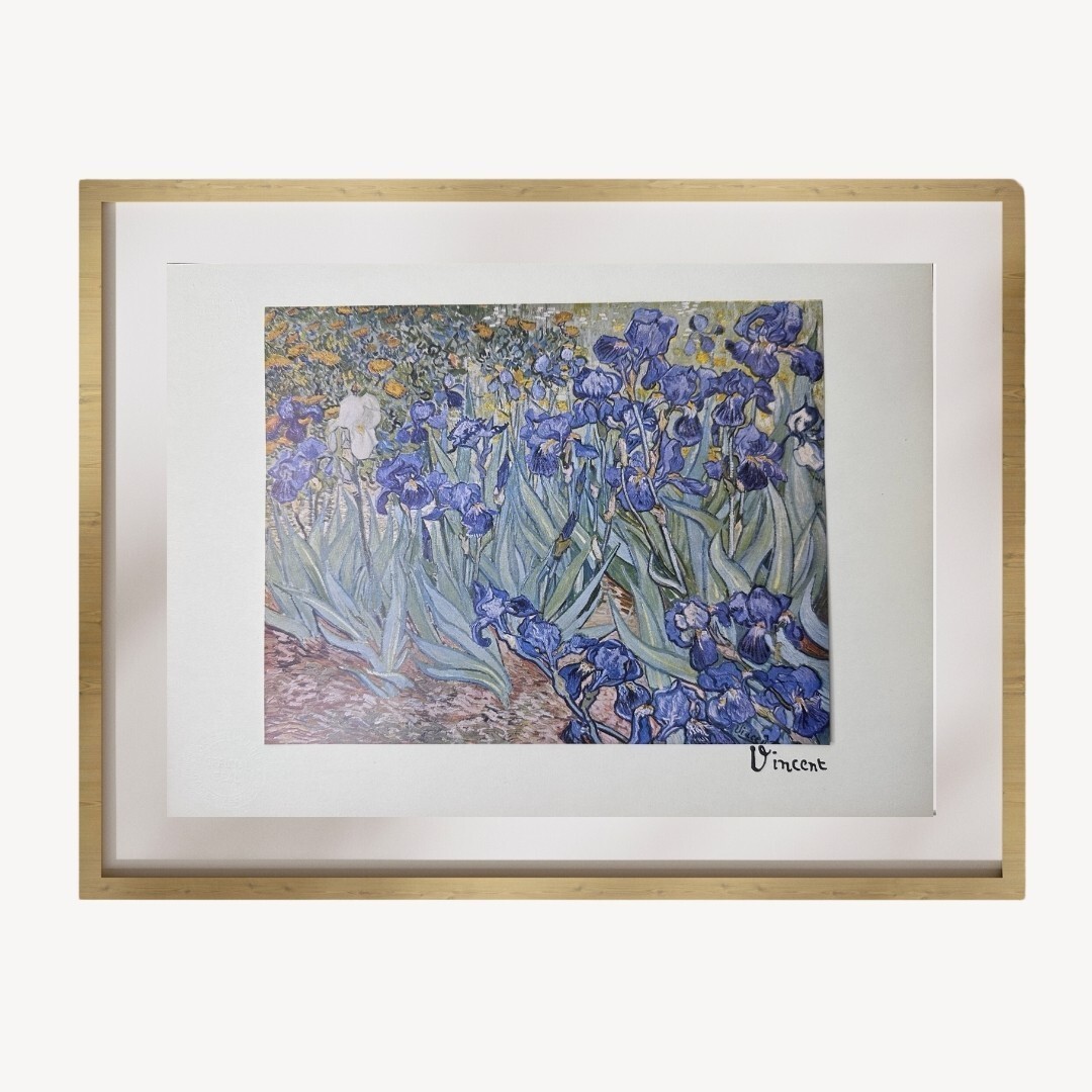 Vincent Van Gogh - Irises, 1889 - Vintage Art Print