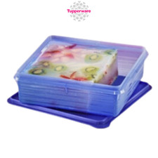 Tupperware B2B Snack Storage 2.9L 100 Authentic Products Of Tupperware Brand