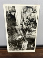 The Ghost of the Tantanoola Tiger Caught on Camera 1930s Postcard