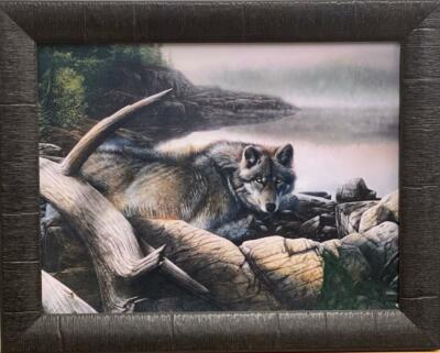 Kevin Daniel Lone Wolf Art Print-Framed 19 x 15 | eBay