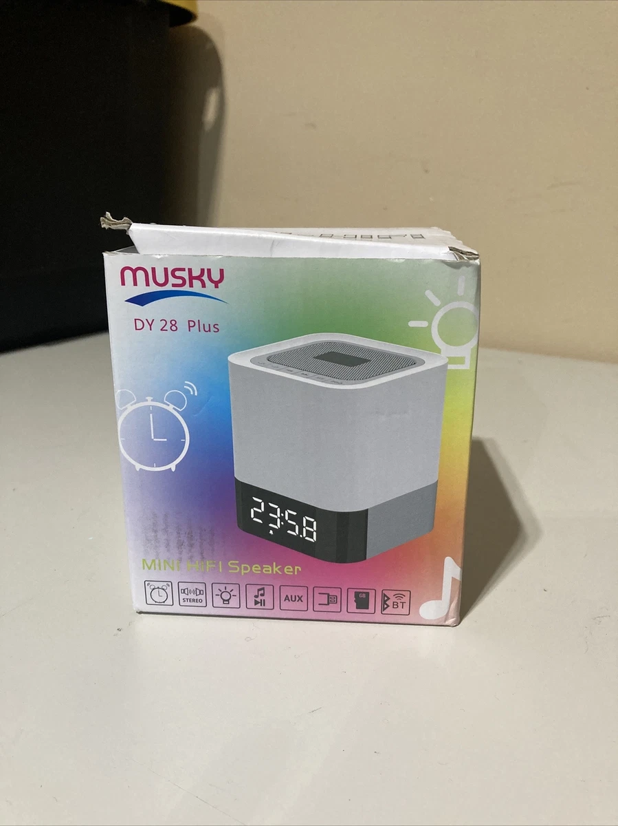 Musky mini hifi speaker dy28 plus 2025