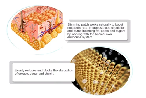 Aplicador 5 Body Wraps Supreme Ultimate funciona para tonificar firme Foto 3 de 4