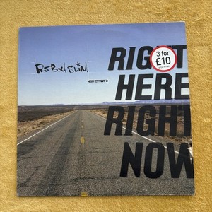 Fatboy Slim Vinyl | eBay