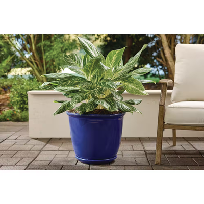 self watering spikes for plants SmartiLiving Drip Irrigation Stakes - Extra Large Improved Drip Easy-Refill 4 Week Waterer System with Large Reservoir Bulbs