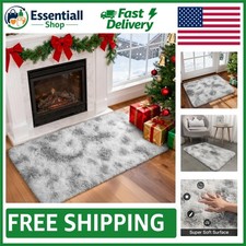 Luxurious 2x3 Fluffy Shag Area Rug   Modern A...