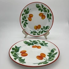 Huta Silesia Enamelware 9.5” Plates Set Of 2 Vintage Made In Poland Peach