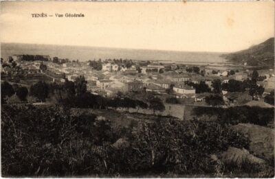 CPA AK ALGERIA TENES Vue Generale (1189872)