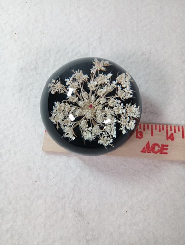 Vtg Tarax Lucite Dome Paperweight Dried Baby’s Breath Canada MCM Acrylic - Picture 5 of 8