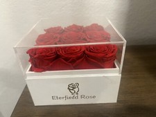 The Perfect Gift 9 Eternal Red Preserved Ecuadorian Roses in a Glass Vase