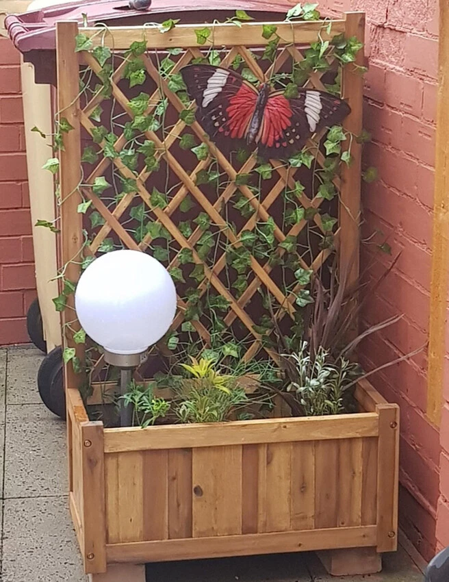 Image of Wooden trellis planter with climbing roses