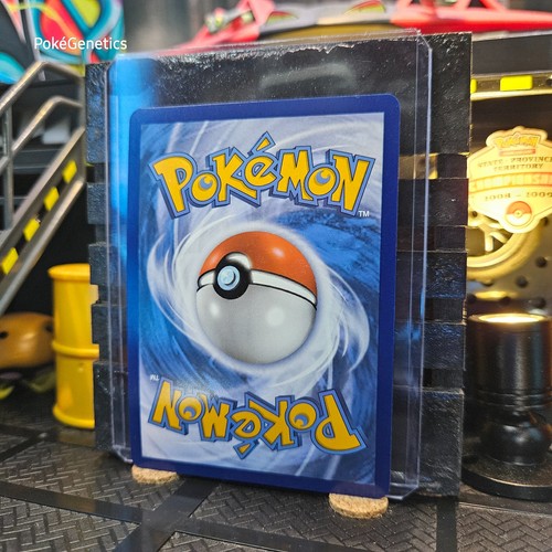 Cyclizar ex Promo Scarlet & Violet Pokémon TCG SVP018 Black Star Ultra Rare - Picture 6 of 6