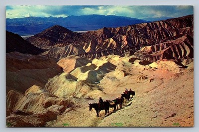 Postcard CA Death Valley Golden Canyon Mule Train Chrome Unposted  N993