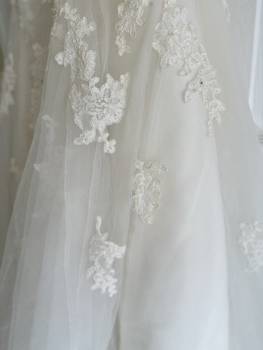 Pronovias Wedding Princess Ball Gown W Shoulder Straps Embroidered Tulle Sz 10 - Picture 4 of 19