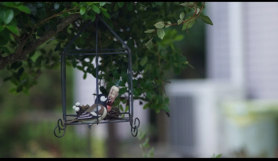 Probado [Exc+5] Nuevo teleobjetivo Canon FD NFD 100 mm F2,8 MF para A-1 AE-1 JAPÓN Foto 3 de 4