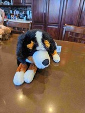 Steiff Senni Bernese Mountain Dog 079528